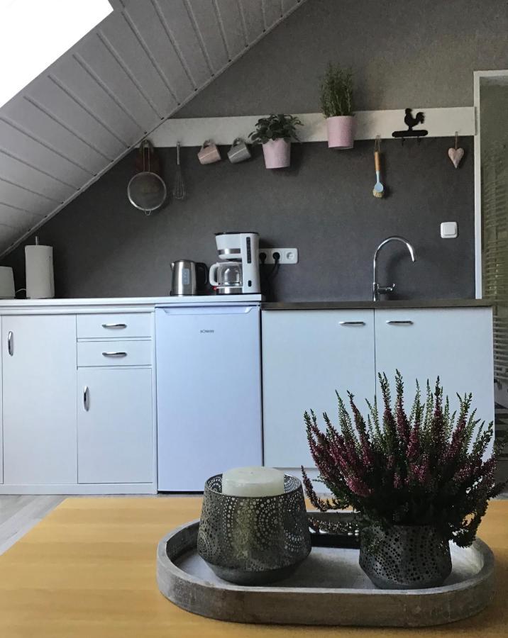 Apartment Am Park -Calluna シュネーヴァーディンゲン エクステリア 写真